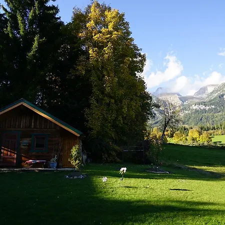 Appartement Haus Waltraut à Ramsau am Dachstein Extérieur photo